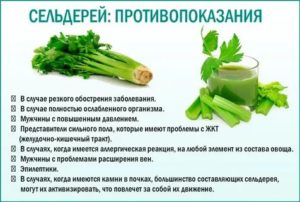 Помогает ли сельдерей при простатите