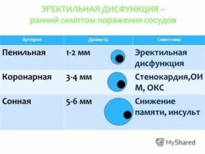 Что такое импотенция органического происхождения