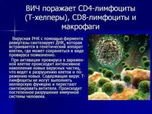 Что такое cd4 cd8 при вич