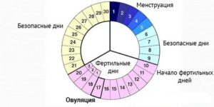 Можно ли забеременеть в последний день месячных мнение врача