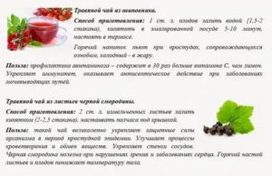 Шиповник при раке простаты польза и вред