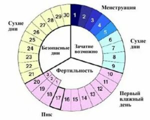 Можно ли забеременеть сразу после месячных при прерванном половом акте