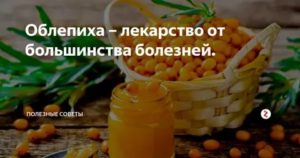 Облепиха при раке простаты