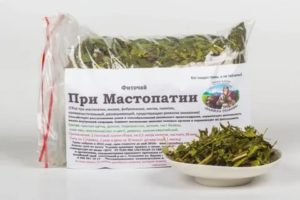 Золотой корень при раке молочной железы