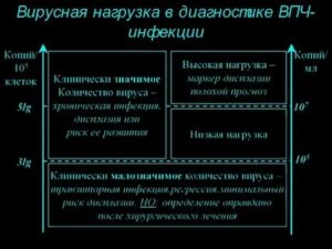 Что такое вирусная нагрузка в гинекологии