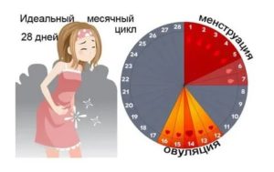 Сколько могут длится месячные если они только начались