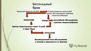 Бесплодные браки курсовая работа