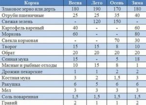 Сколько раз в день нужно кормить индоуток месячных