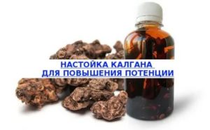 Для чего настойка калгана для потенции