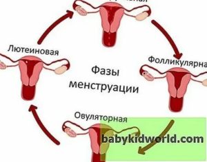 Почему во время месячных можно не предохраняться от беременности