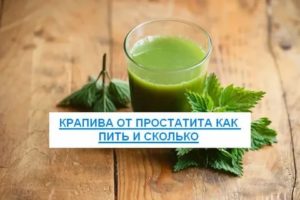 Можно ли пить отвар крапивы при цистите