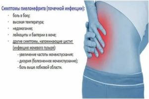 Может ли болеть правый бок внизу при цистите