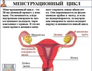 Как сделать чтобы не было месячных один месяц в домашних условиях