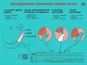 Почему матка открыта а месячных нет