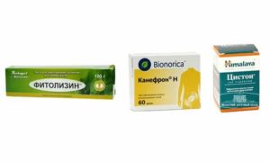 Что эффективнее при цистите фитолизин или канефрон