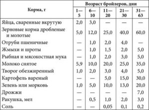 Чем кормить месячных бройлеров в домашних условиях для быстрого роста