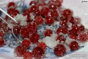Можно ли пить калину при цистите