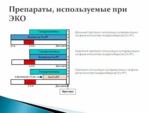 Какой препарат лучше для стимуляции овуляции при эко