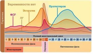 Что делать если после прогестерона не пришли месячные