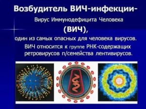 Какая наука изучает возбудителей вич инфекций