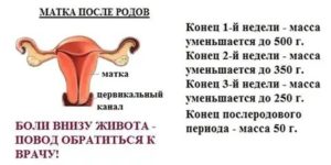 Почему сбой месячных после родов