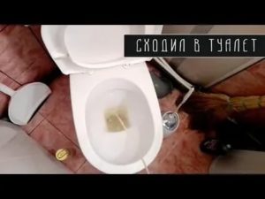Почему часто хочется в туалет по большому перед месячными