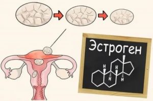 Фитоэстрогены при климаксе и миоме матки