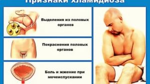 Можно ли целоваться во время лечения от хламидиоза
