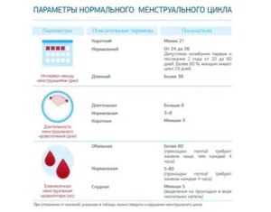 Как происходит сбой цикла месячных причины после 40 лет