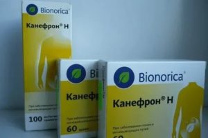 Можно ли принимать канефрон при простатите