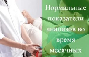 Можно ли сдавать анализы на кровь и мочу во время месячных на анализы