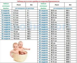 Сколько весят 7 месячные дети в утробе