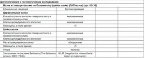 Что показывает анализ на онкоцитологию шейки матки