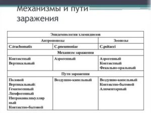 Как можно заразиться хламидиозом оральным путем