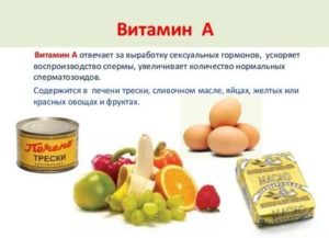 Какие продукты и витамины способствуют росту члена