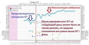 Как отличить овуляцию от имплантации