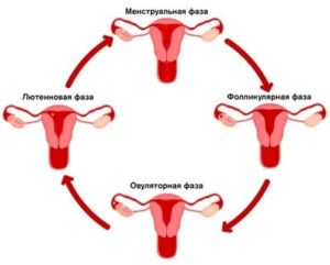 Можно ли делать смт во время месячных