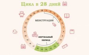Почему месячные были короче чем обычно