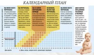 Почему во время месячных можно не предохраняться от беременности