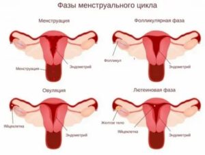 Почему на второй день останавливаются месячные