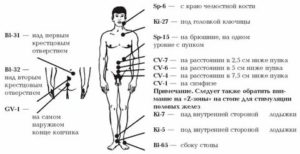 Точки на теле отвечающие за простату