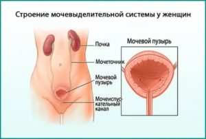 Может при цистите боль отдавать в прямую кишку