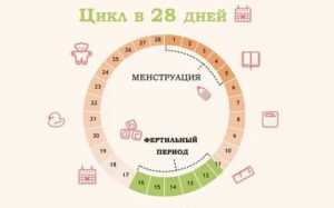 Можно ли забеременеть в 43 года при регулярных месячных