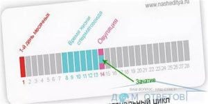 Можно ли забеременеть если нет месячных не было несколько месяцев