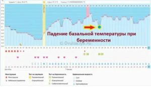 Почему базальная температура упала а месячных нет