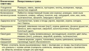 Можно ли лечить цистит чистотелом