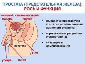 Судороги в области простаты