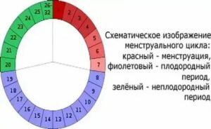 Когда можно заниматься интимной жизнью после месячных чтобы не забеременеть