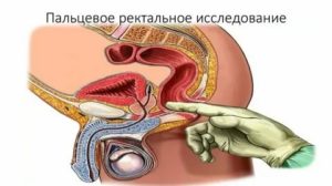 Точка g это простата у мужчин