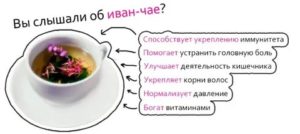 Можно ли пить иван чай при месячных